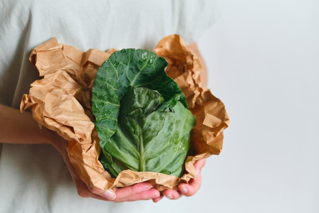 Fresh food
